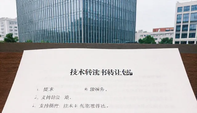运维服务常见问题及处理方向，技术支持关键